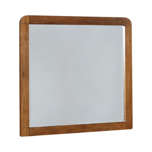 Robyn Rectangular Dresser Mirror 205134