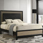 Cama Queen Valencia 223041Q