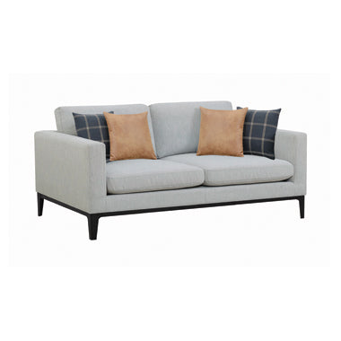 Apperson Light Grey Sofa Collection by Coaster