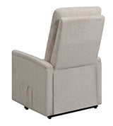 Sillón reclinable de masaje Henrietta Power Lift 609450P