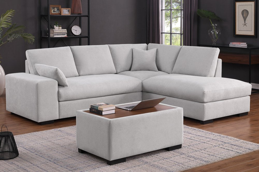 Joshua Sectional Sofa Light Gray 89294