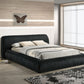 Palmdale FM72006BK Upholstered Bed - Black or Ivory