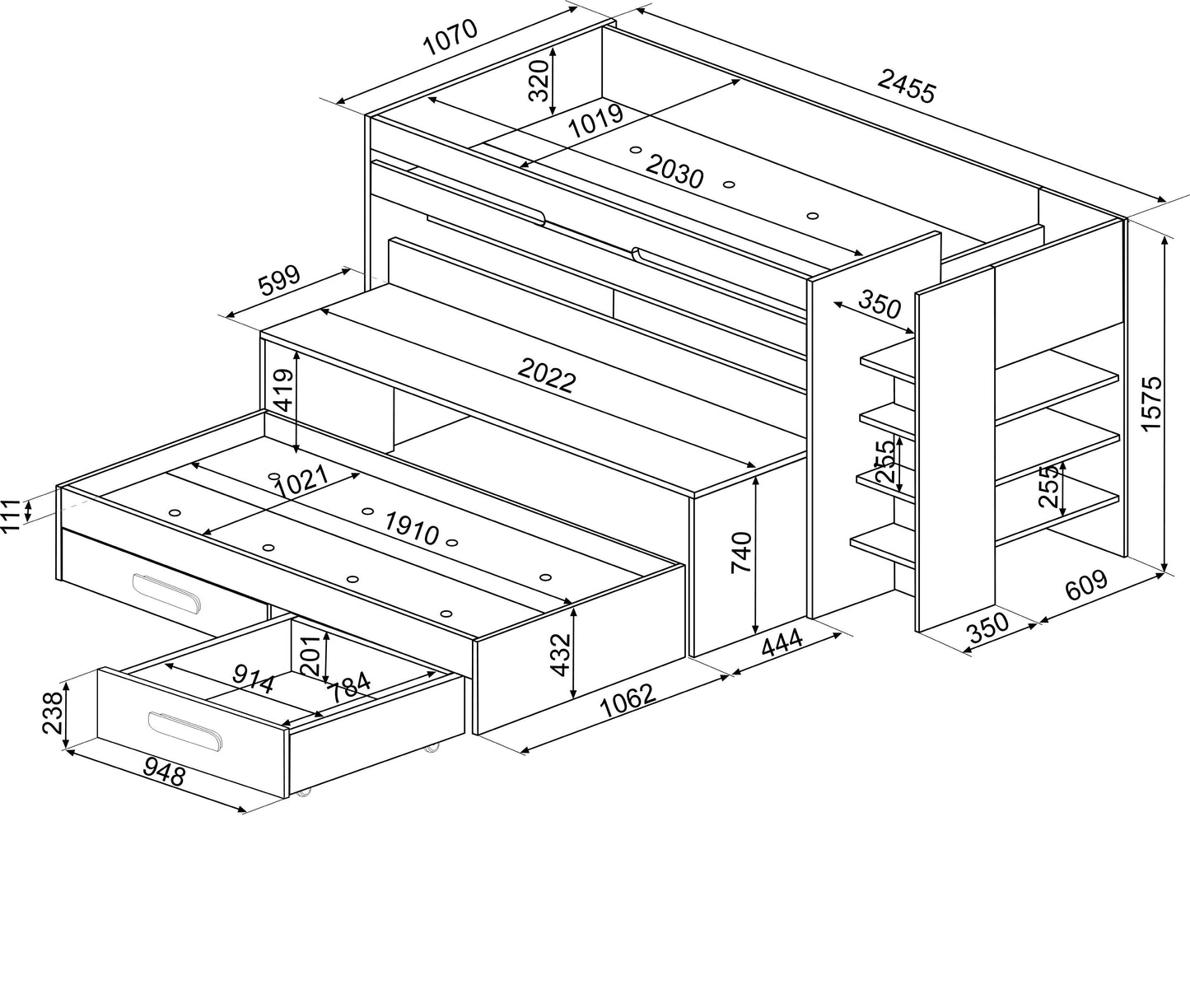 Trasman Bunk Bed w/Pullout Bed & Desk