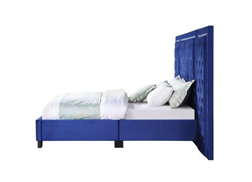 Damazy Queen Blue Velvet Bed BD00973Q