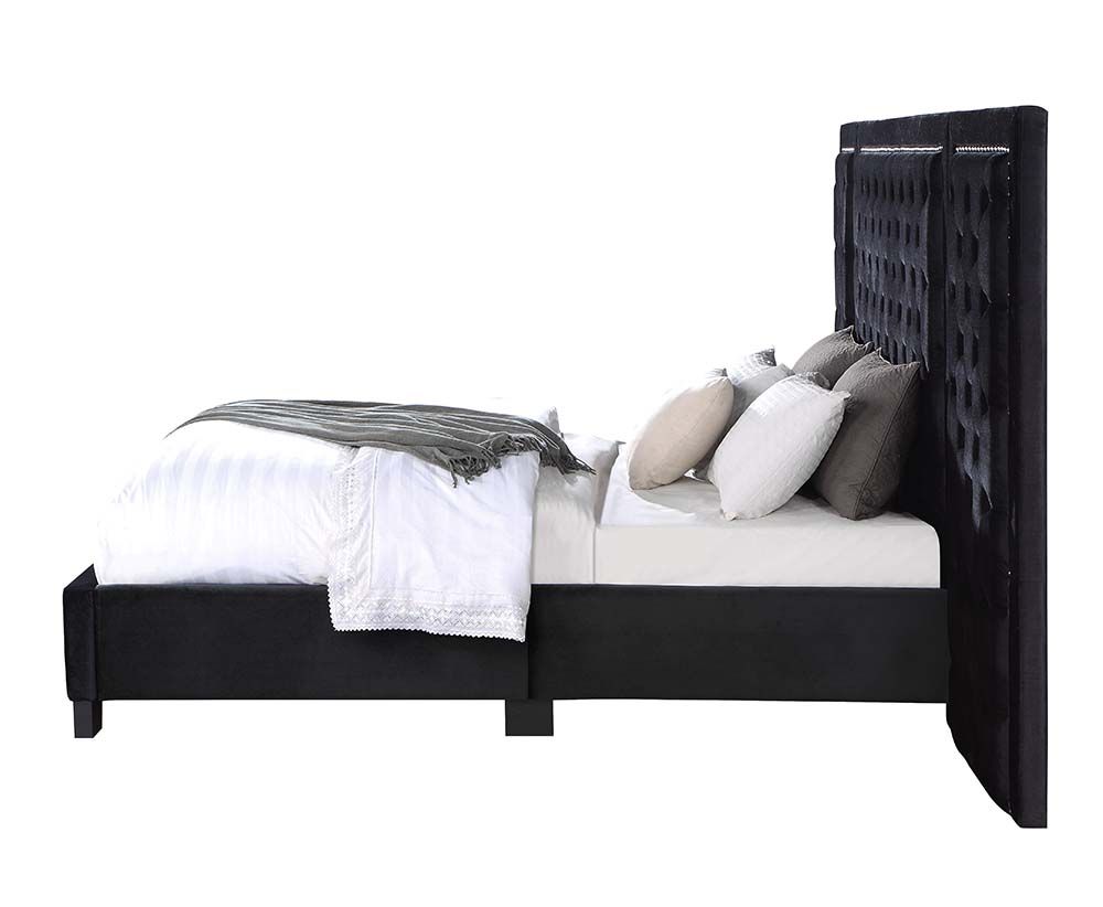 Damazy Velvet Bed by Acme - Black or Blue