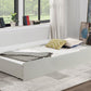 Lycoris Trundle Bed/Storage CM7477GY-TR