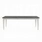 Katia Weathered White Dining Collection w/Extention