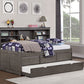 Tibalt Dark Gray Daybed - Furniture of America