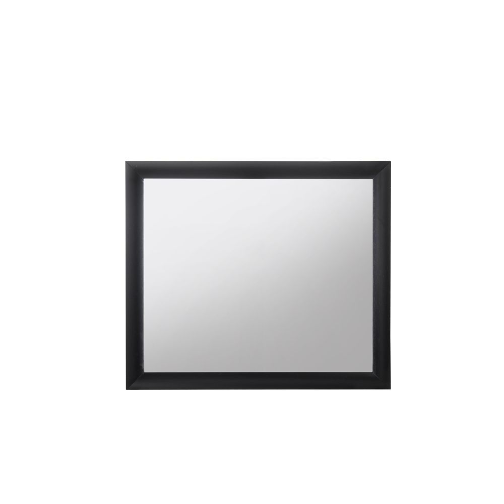 Acme Mirror 04164