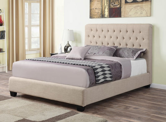 Chloe Upholstered Bed by Coaster - 4 Sizes & Colors