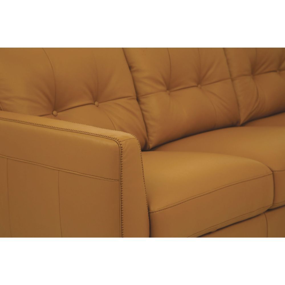 Radwan Sofa Collection by Acme - Caramel or Presto