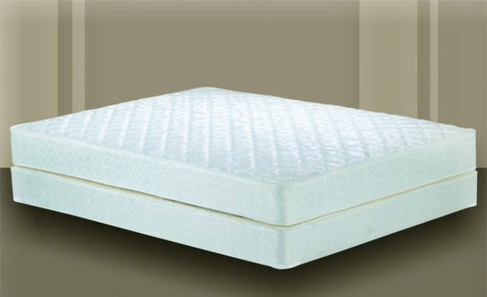 Queen Mattress & Foundation F8003Q