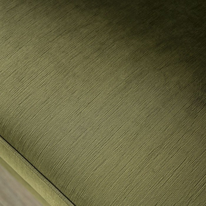 Kaye 2 Pc Sofa Collection - Transitional Green